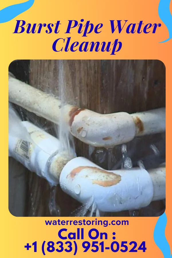 Burst Pipe Water Cleanup in Easton, MD