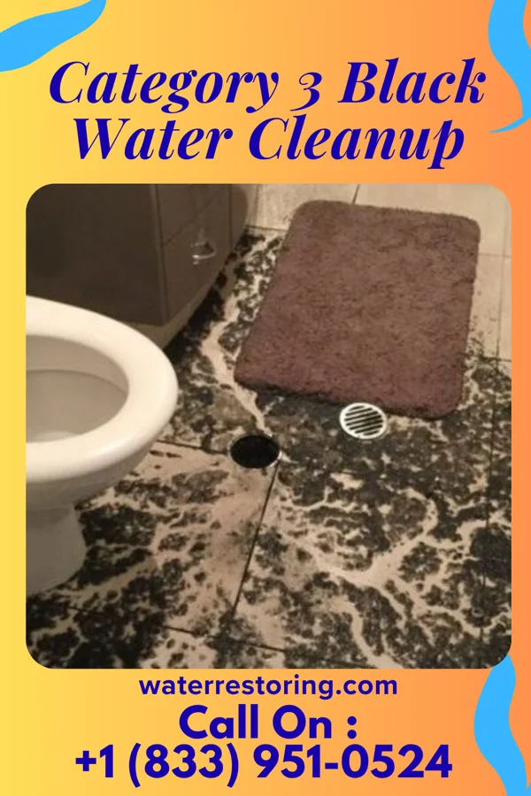 Category 3 Black Water Cleanup in Easton, MD