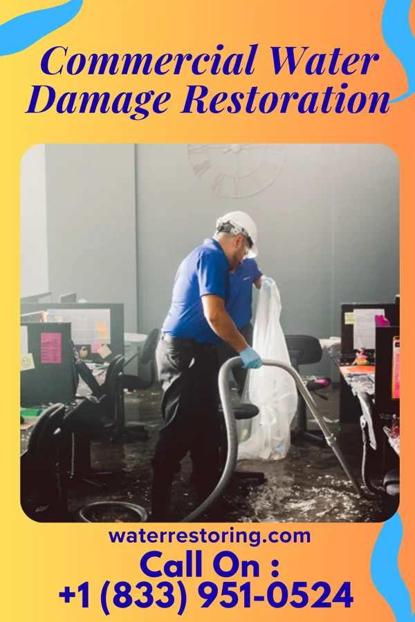 Commercial Water Damage Restoration in Easton, MD