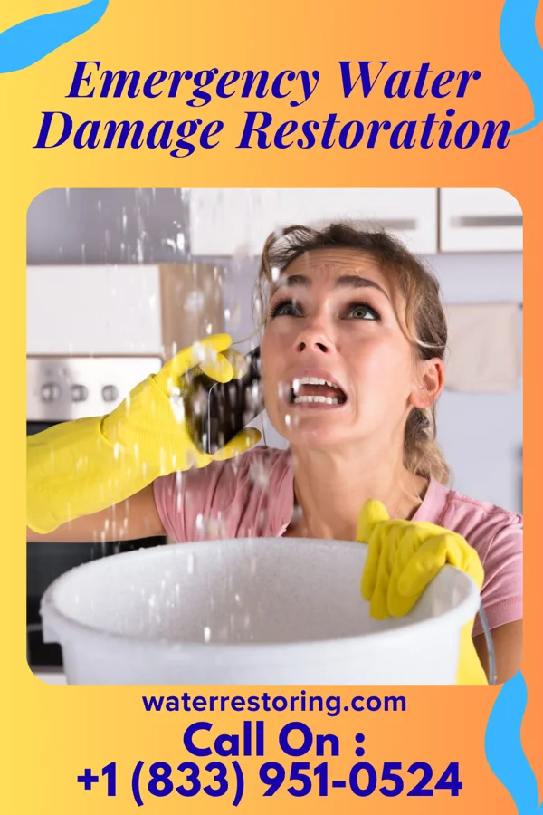 Emergency Water Damage Restoration in Easton, MD