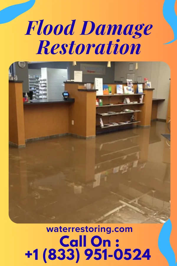 Flood Damage Restoration in Easton, MD