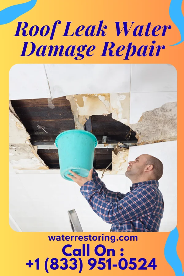 Roof Leak Water Damage Repair in Easton, MD