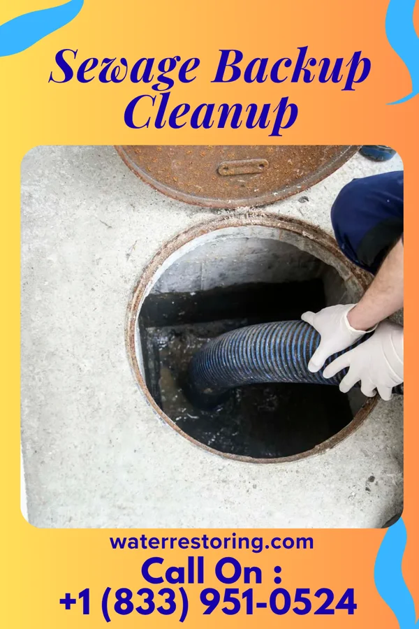 Sewage Backup Cleanup in Easton, MD