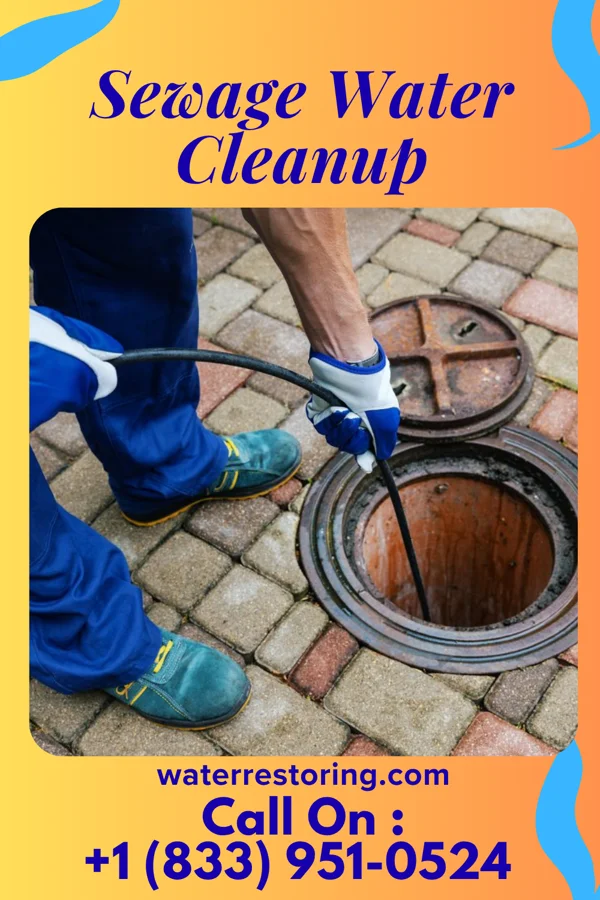 Sewage Water Cleanup in Easton, MD